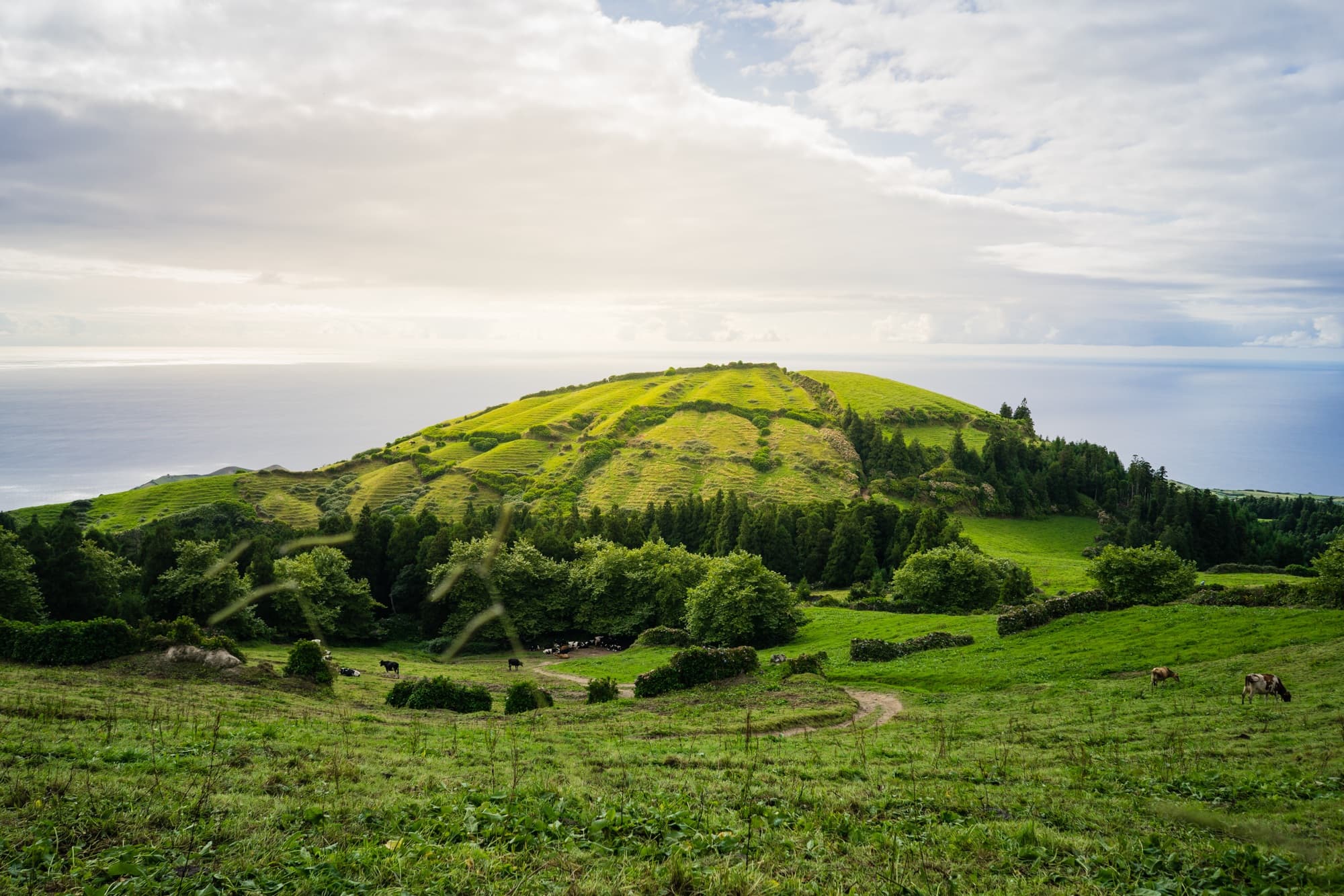 sao miguel tips azoren