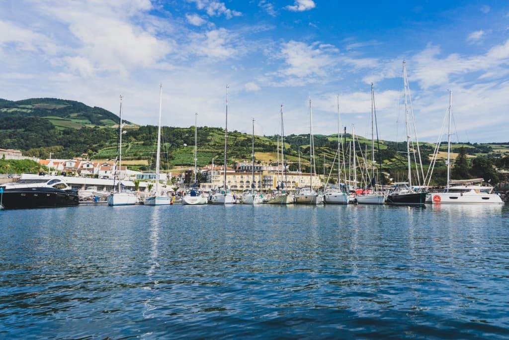 whale watching azores