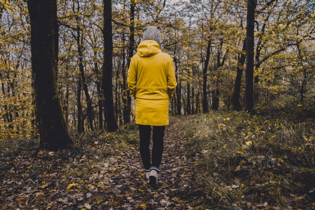 luxemburg wandelingen