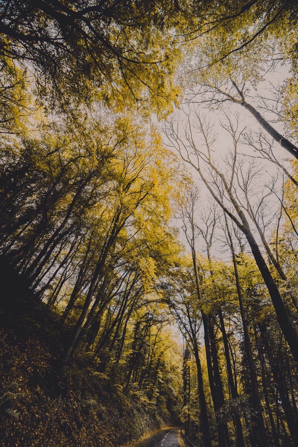 wat te doen in luxemburg