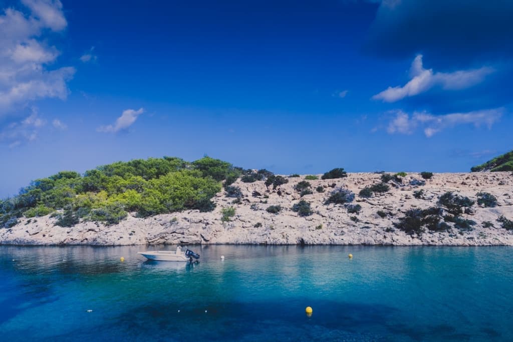 beste restaurant ibiza