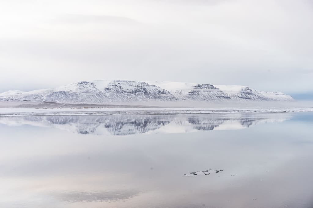 ijsland reisverhaal