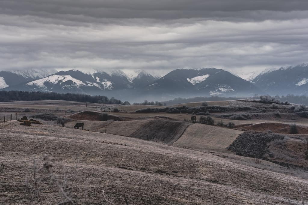 wat doen in roemenie