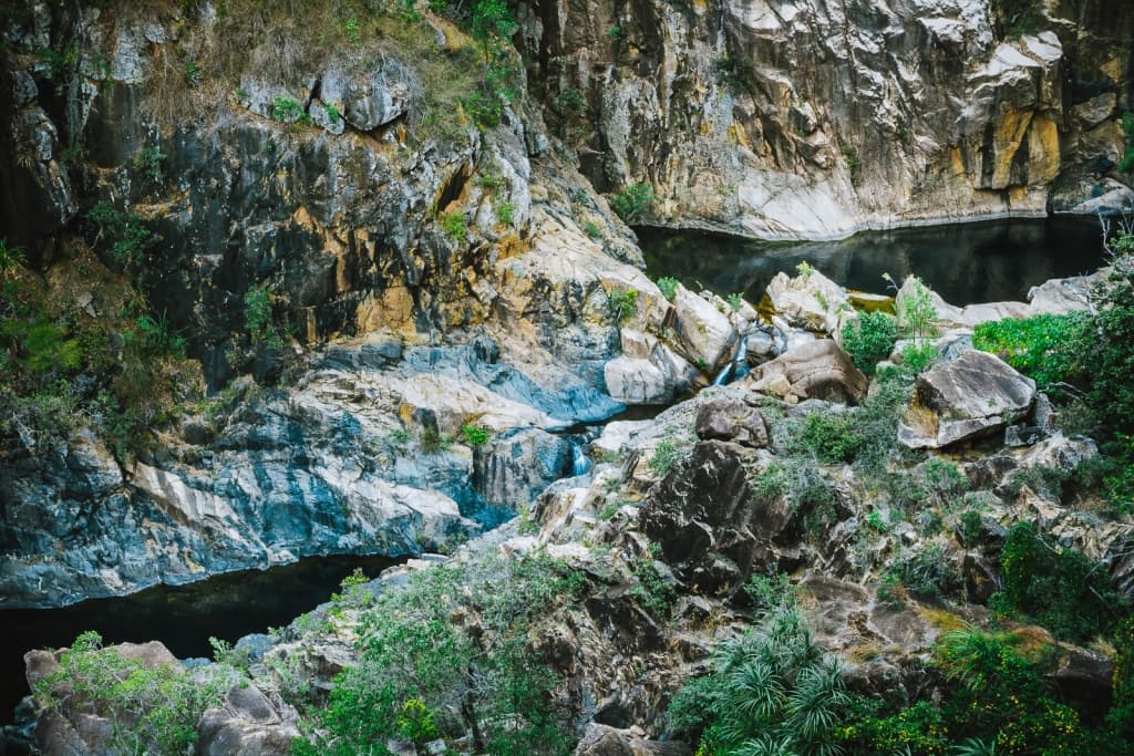 daintree national park queensland