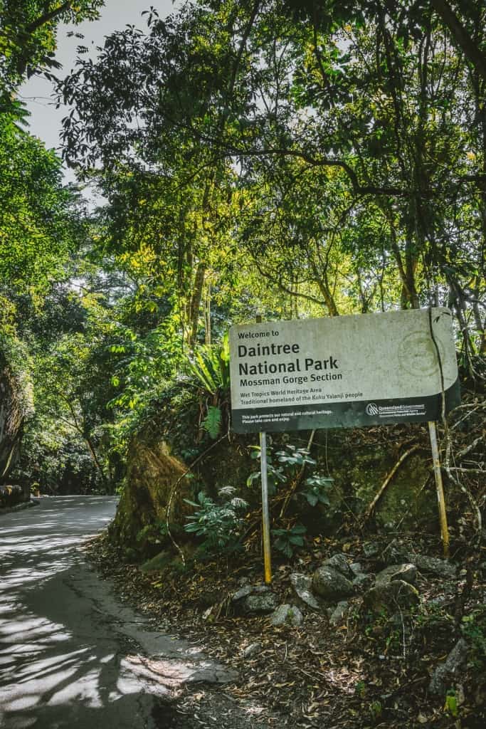 krokodillen in queensland