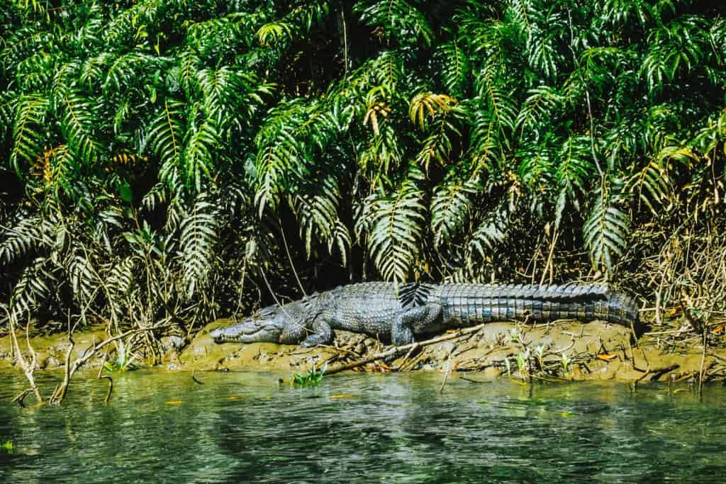 Captain Cook Highway de mooiste roadtrip van Australie in Queensland