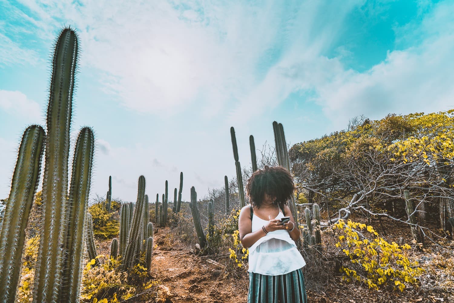 curacao reis tips