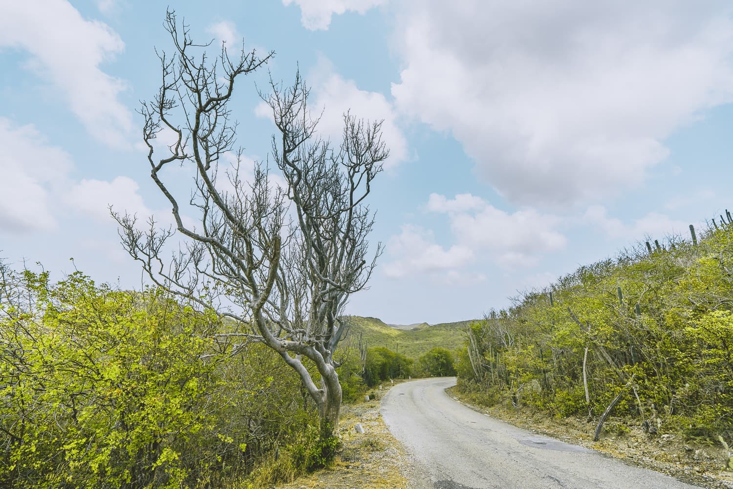 curacao reisblog