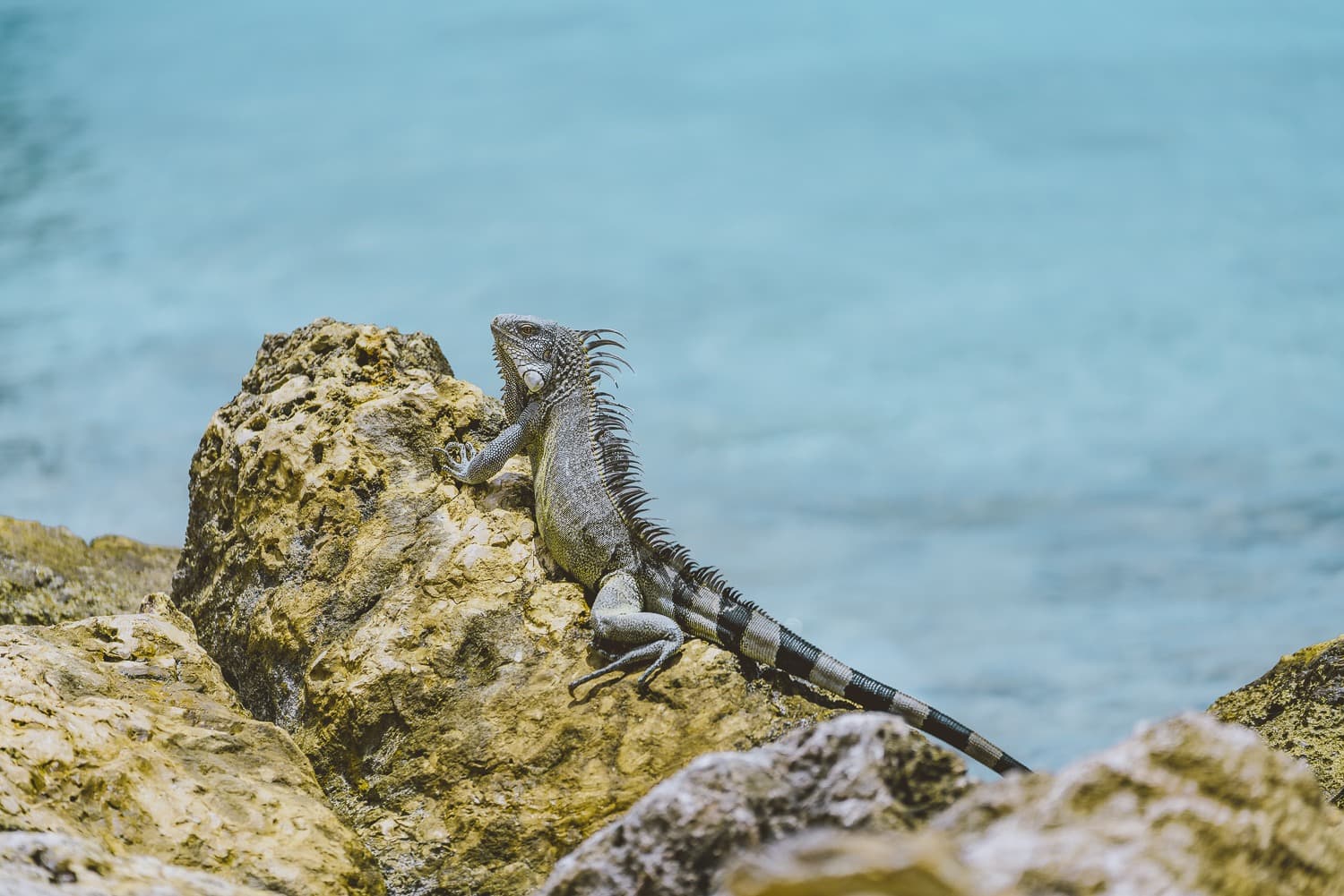 curacao travel blog