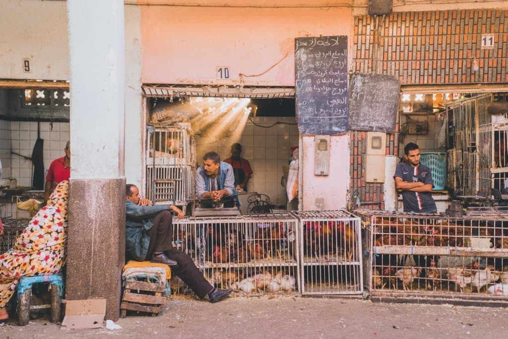 souk bezoeken gadir