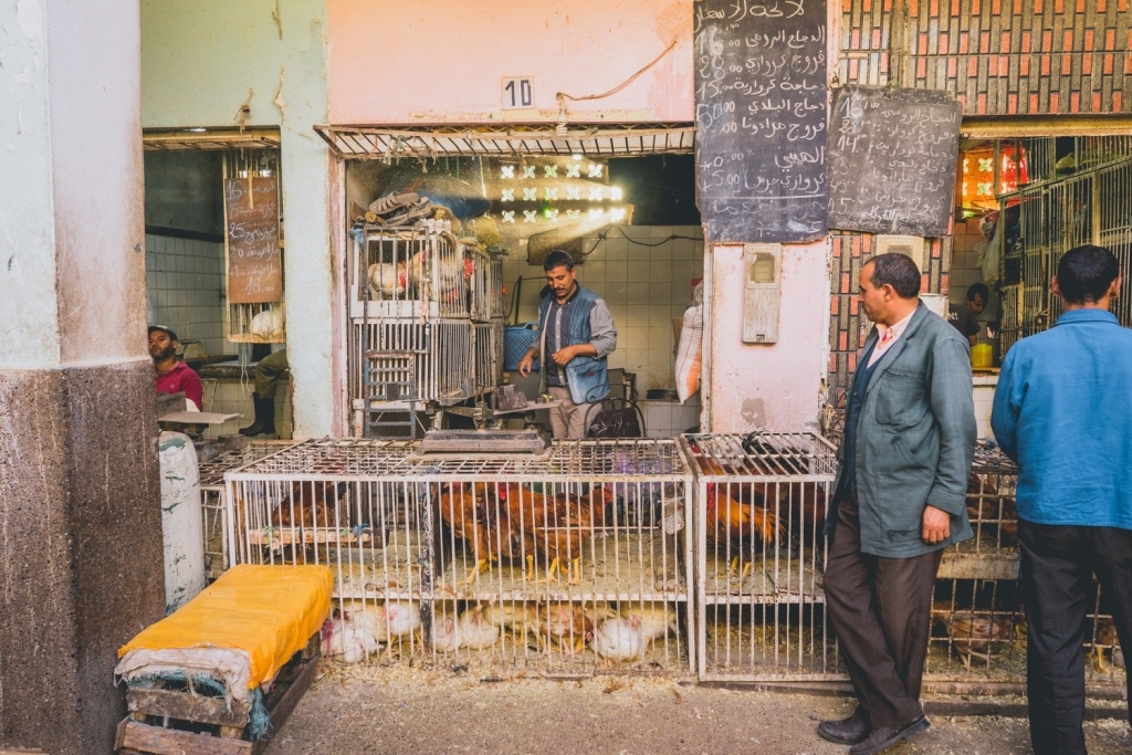 Kippenmarkt Agadir