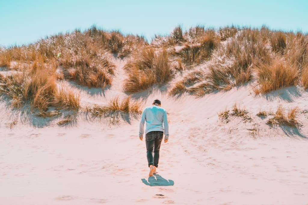 mooiste duinen belgie
