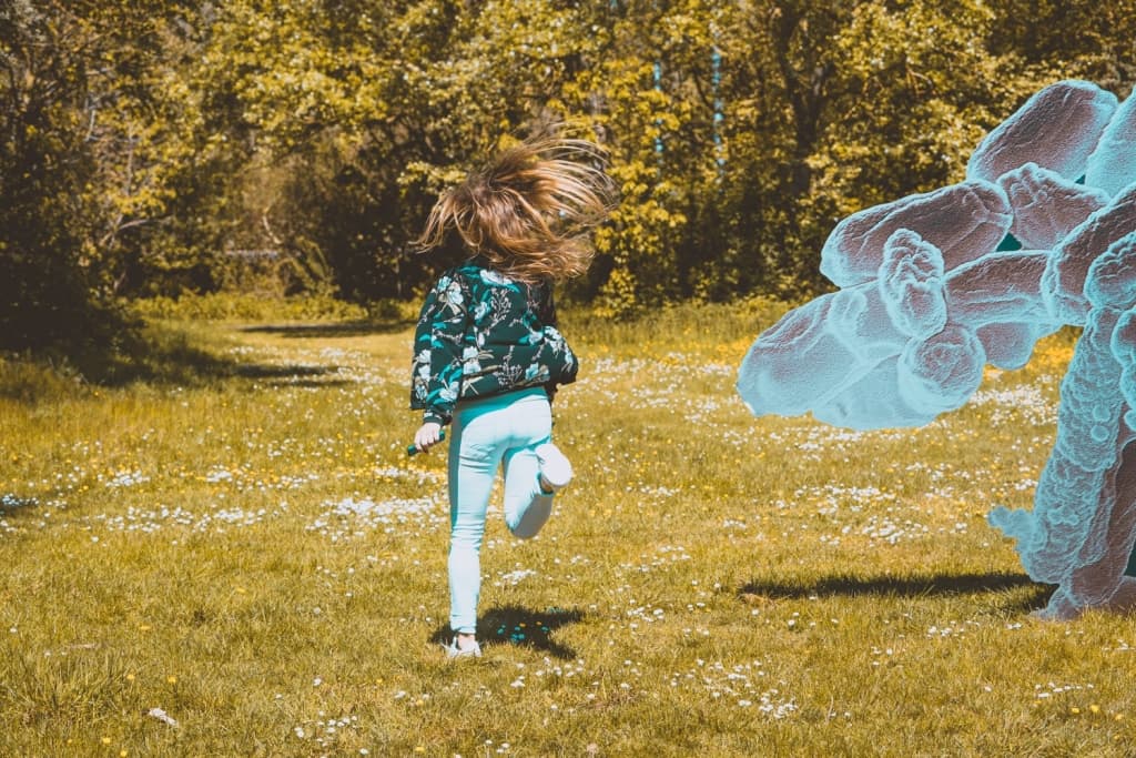 beaufort belgie belgische kust