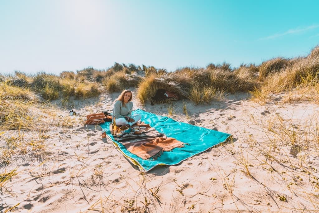 picknick in duinen belgie