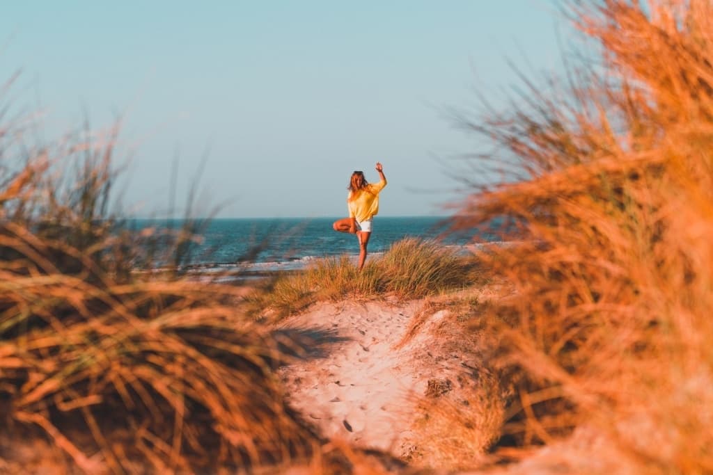 duinen belgische kust bredene