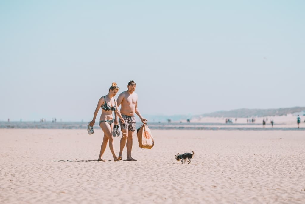 mooiste duinen belgie