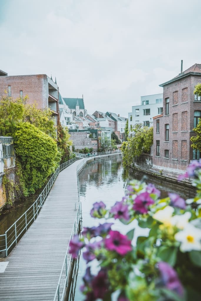 wandelen langs de dijle in mechelen