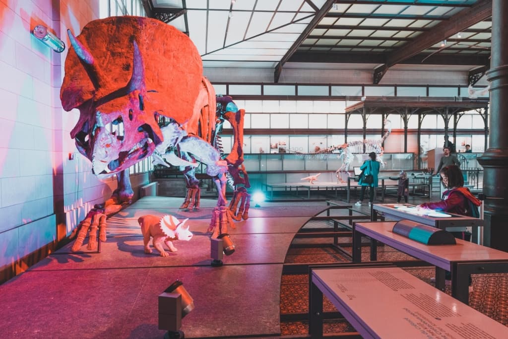 dinomuseum brussel