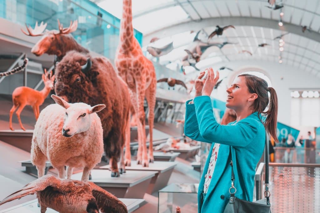 wetenschapsmuseum bezoeken in brussel