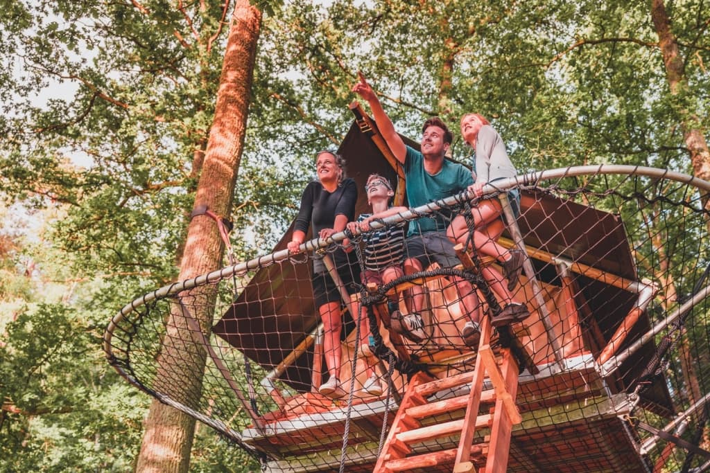 de mooiste boomhutten van belgie