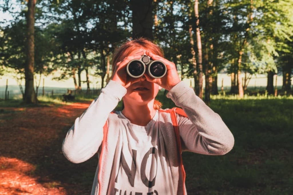 slapen in boomhutten met kinderen