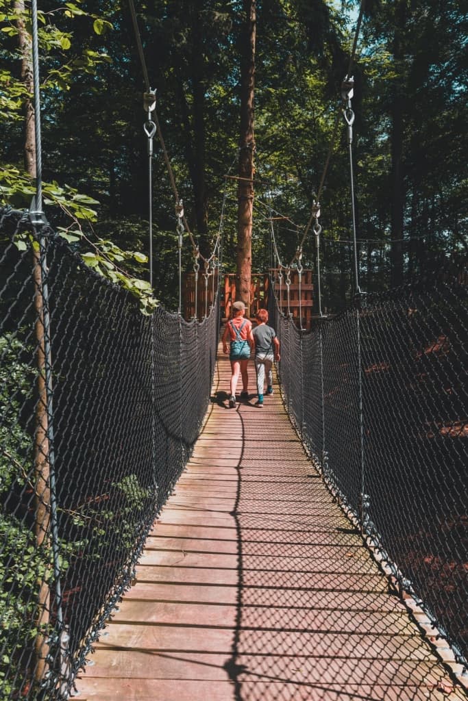kamperen tussen wilde dieren