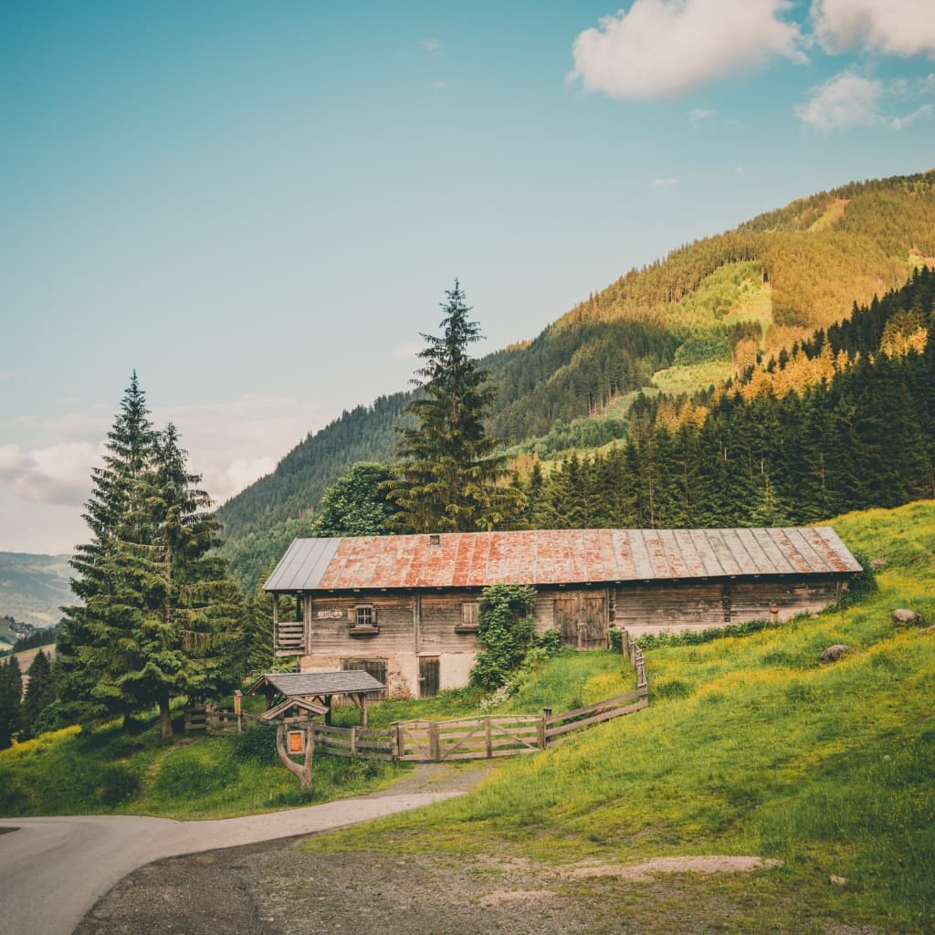 saalbach skigebied in de zomer