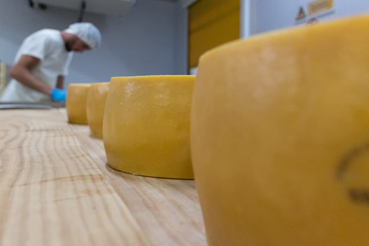 sao jorge cheese
