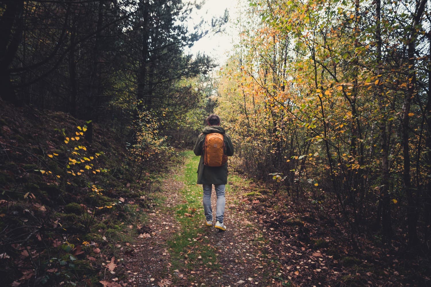 wandelen in limburg