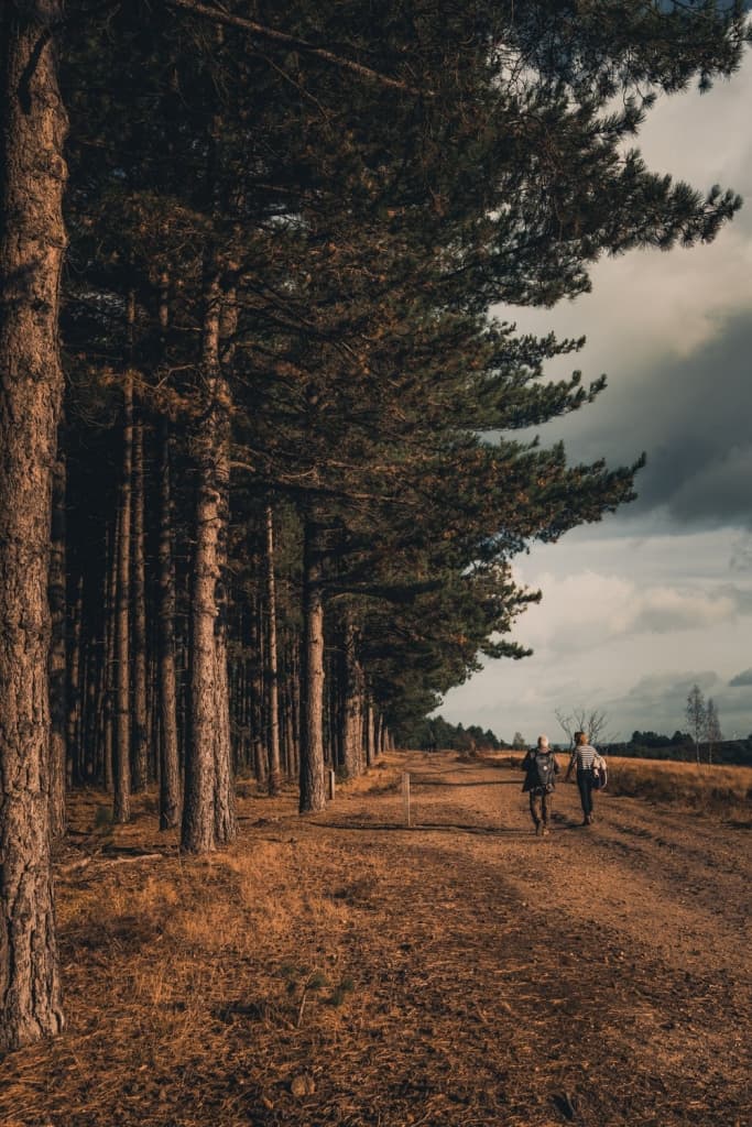 wandelen in park hoge kempen
