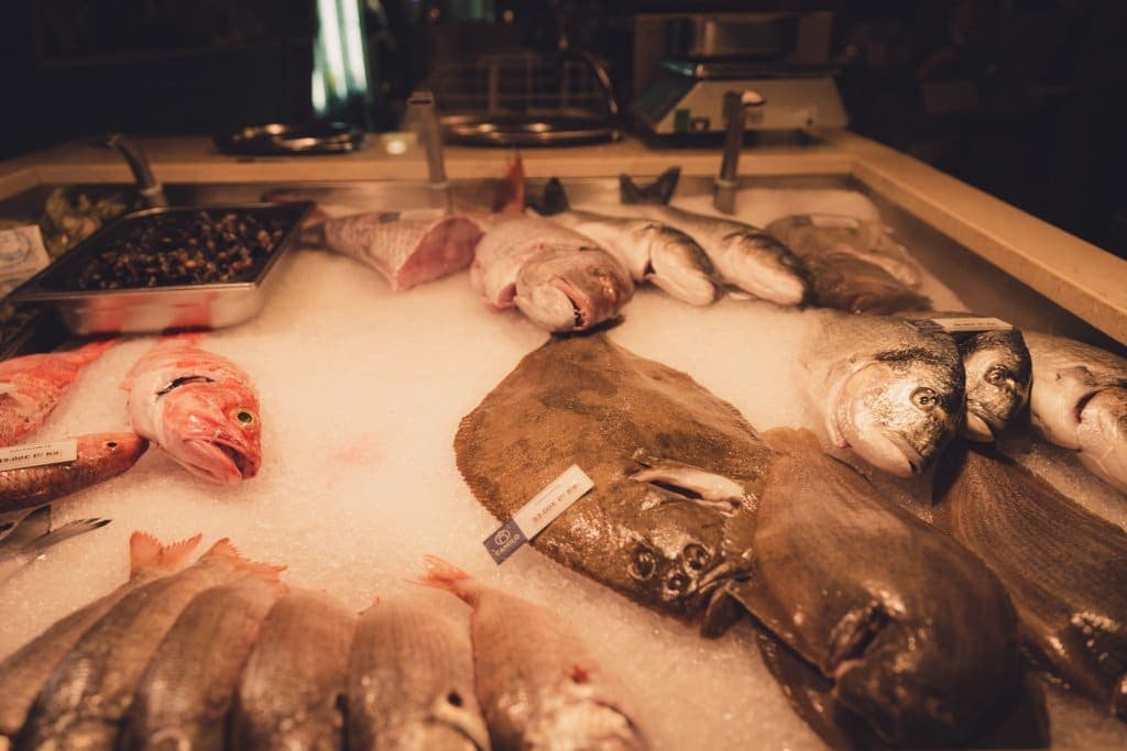 beste vis eten algarve