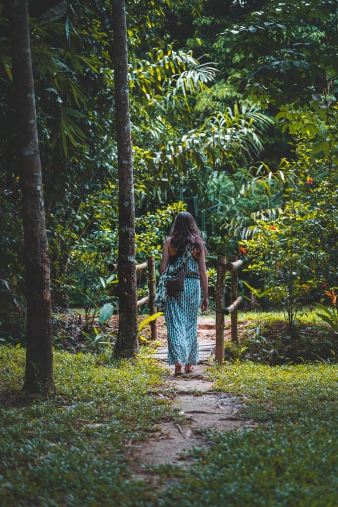 jungle trekking thailand