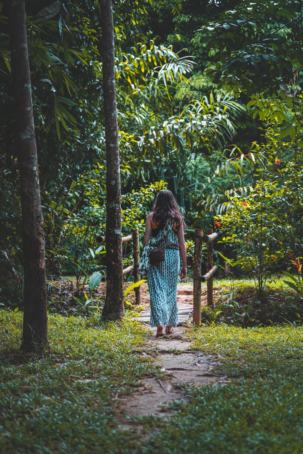 jungle trekking thailand