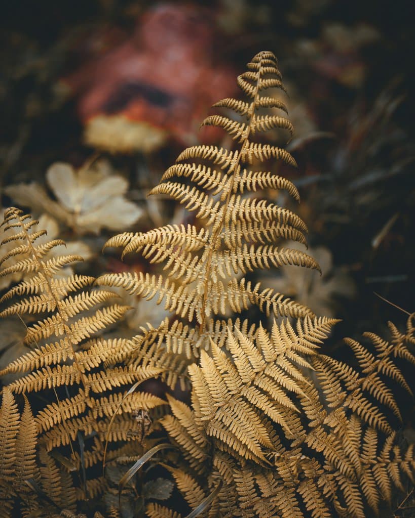 de mooiste wandelingen en hikes van zwitserland