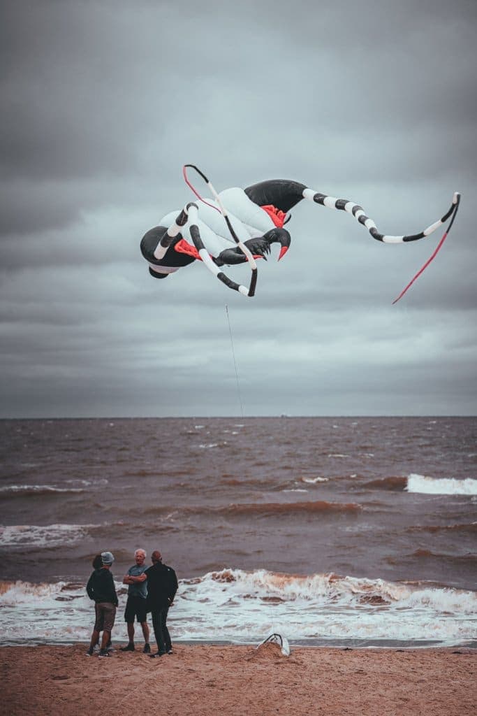 leren surfen wenduine