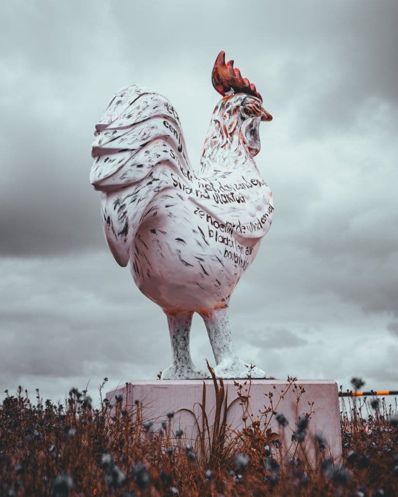 weekend aan de belgische kust de haan