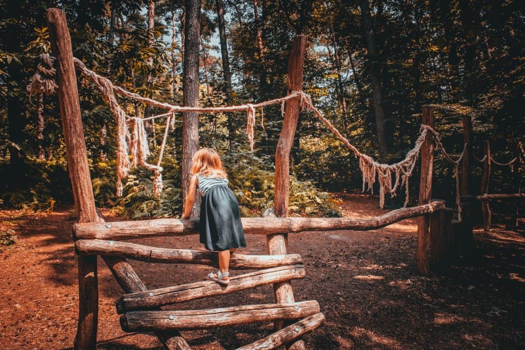 muziekbos ronse wat te doen met kinderen
