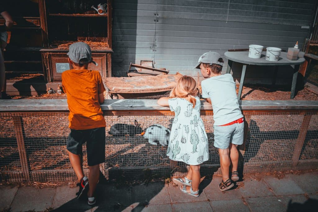 waar slapen met kinderen vlaamse ardennen