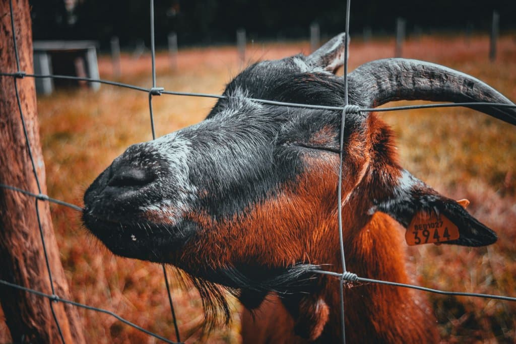 vakantie ronse vlaamse ardennen