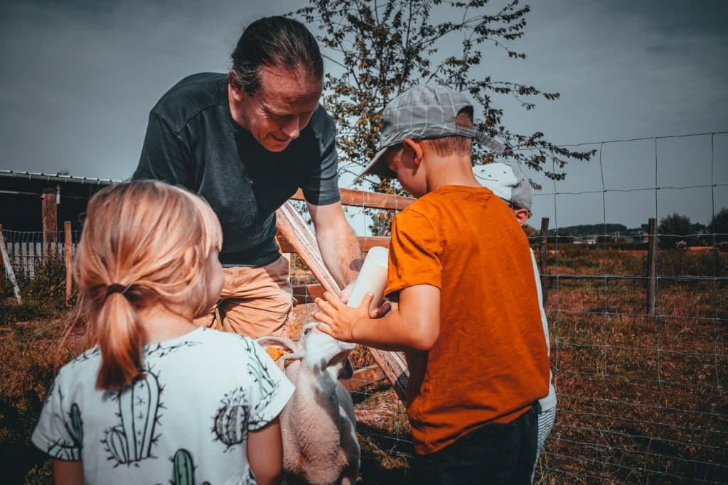 slapen in een kinderboerderij ronse