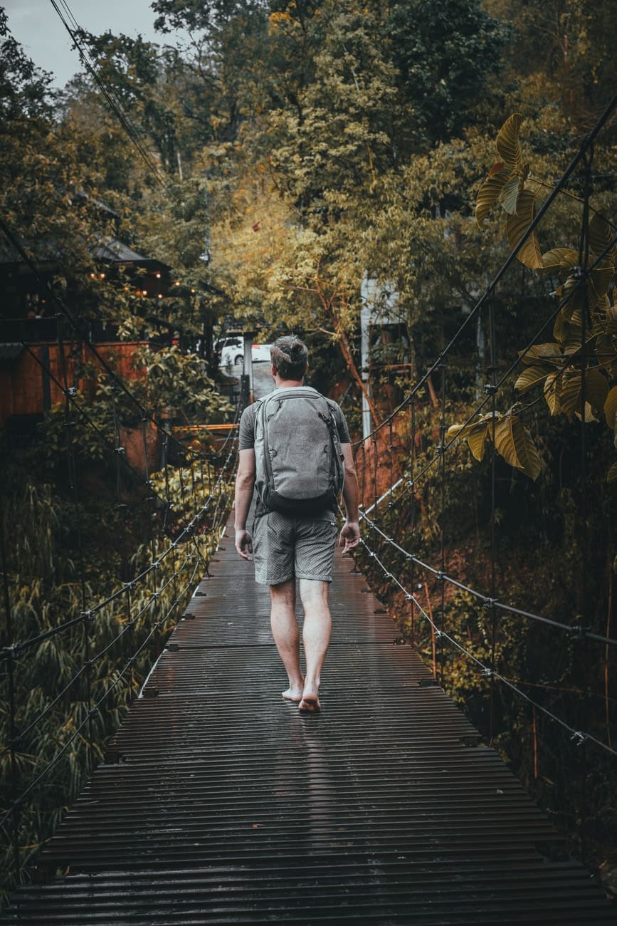 waar olifanten bezoeken in chiang mai