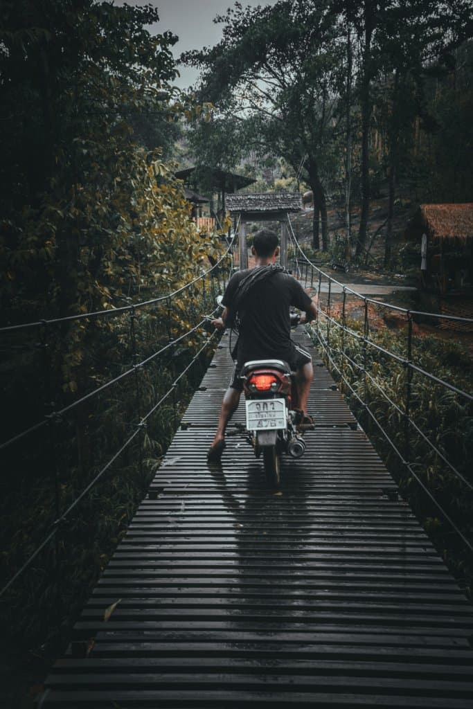 olifanten bezoeken in thailand