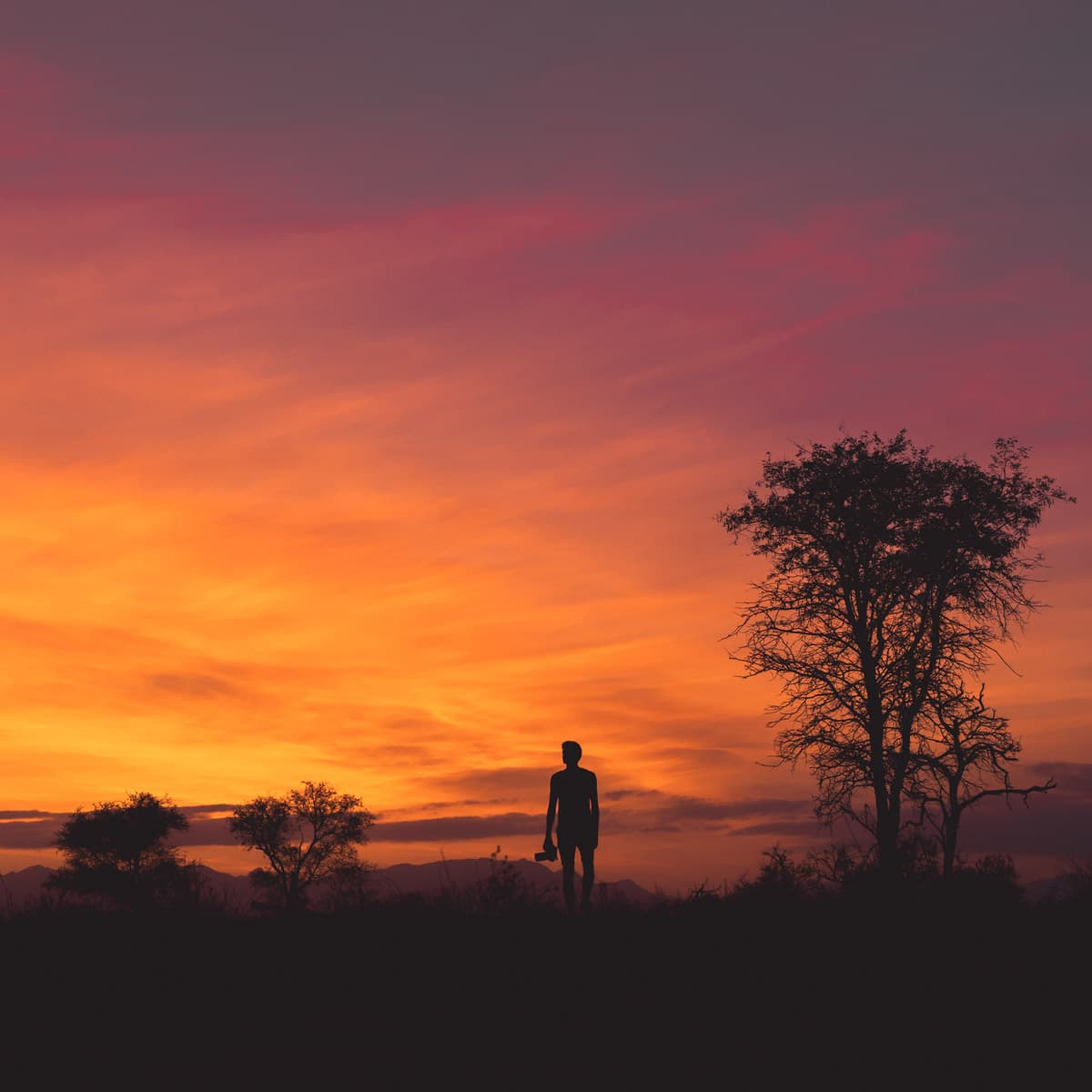 landschapsfotografie reiscamera