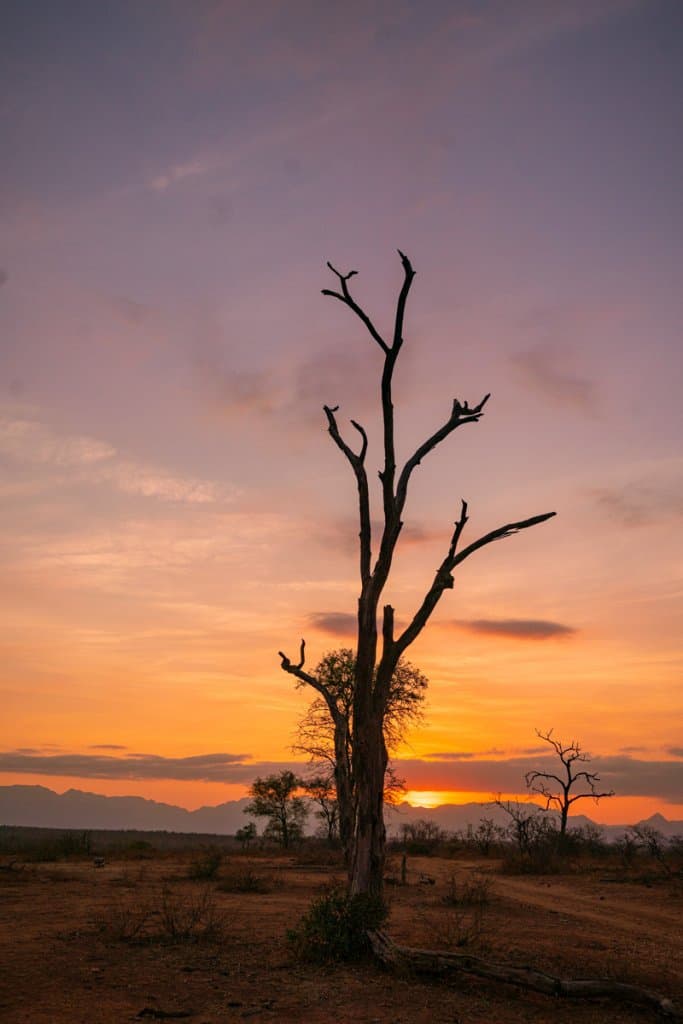 zonsondergang krugerpark zuid afrika