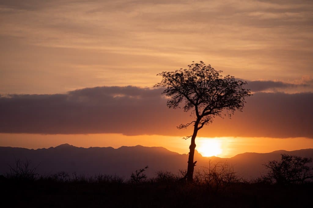 zonsondergang safari kruger park