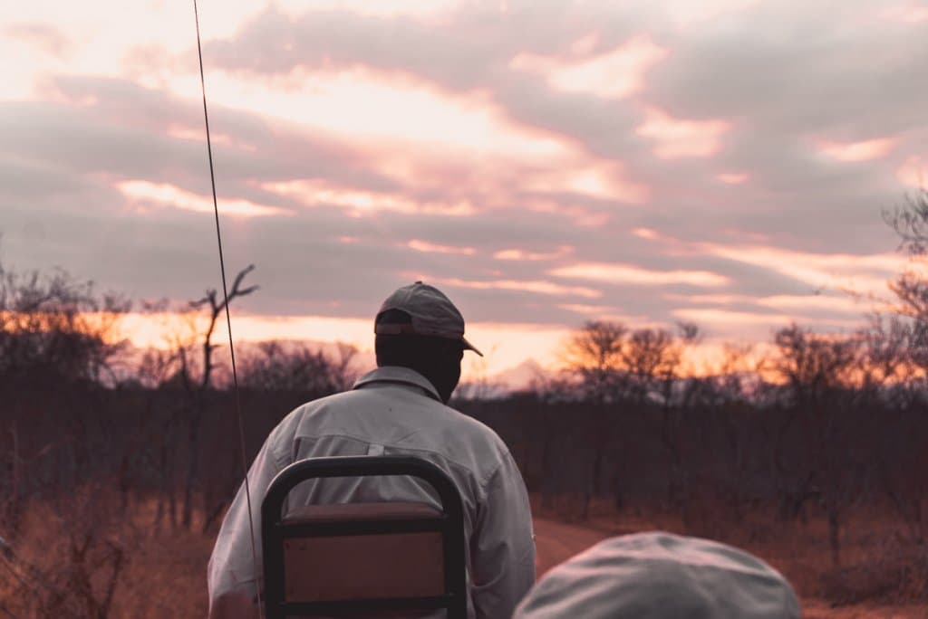 safari rit boeken kruger park