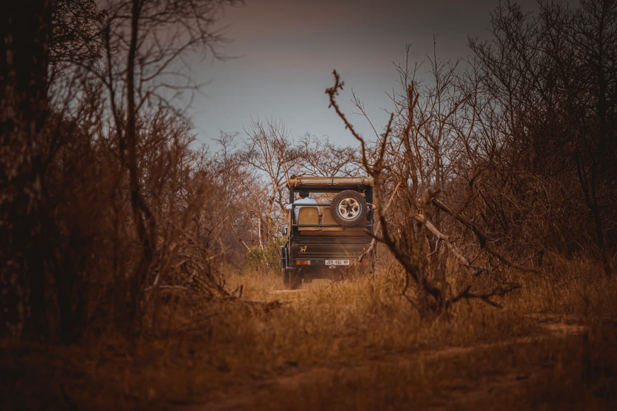 afrika safari