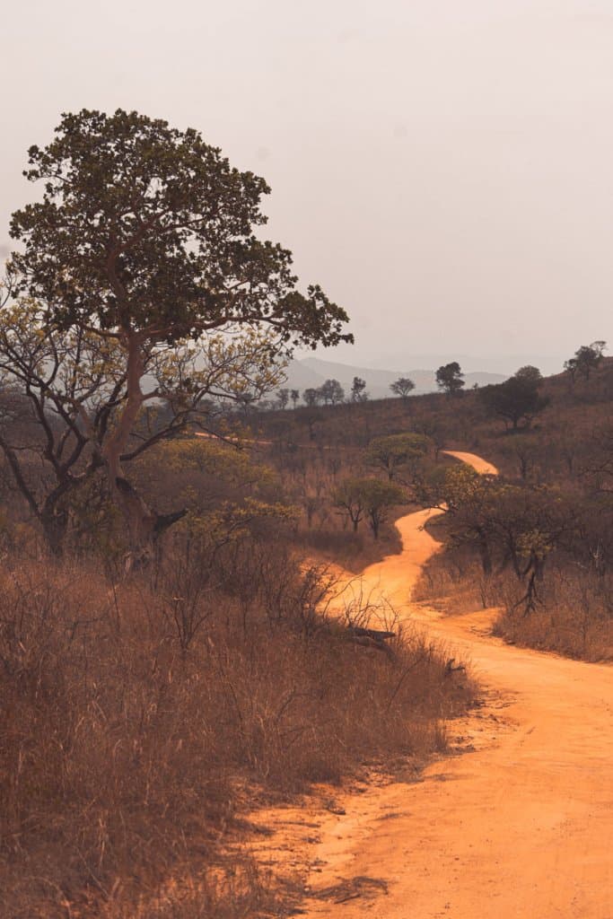 welke parken bezoeken afrika
