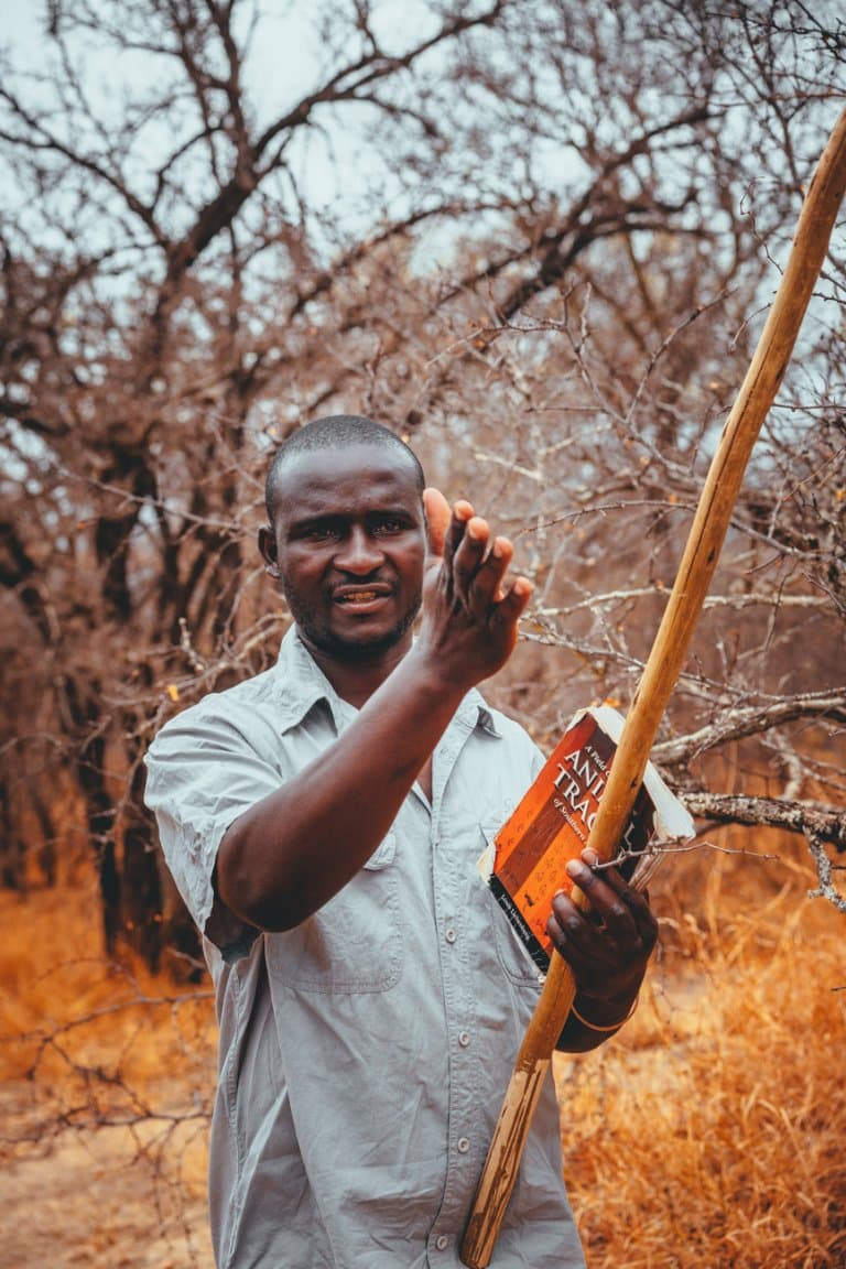 safari in zuid afrika