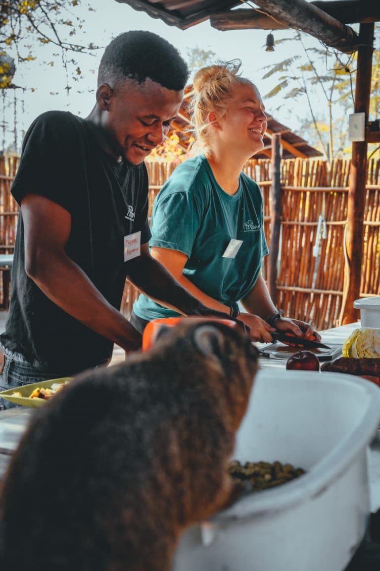 dieren verzorgen in zuid-afrika